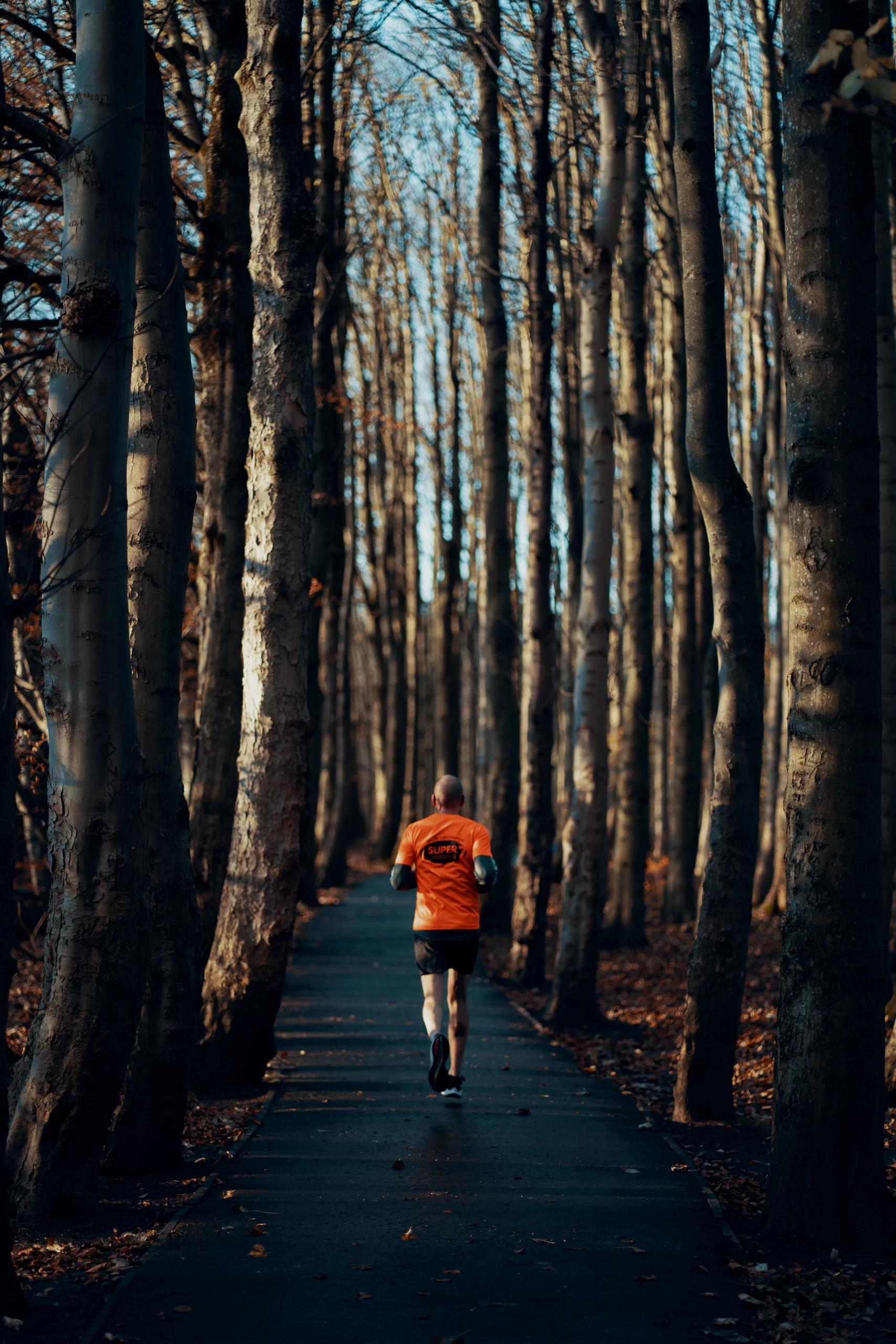 Run, Walk, Conquer: How Beginners Can Embrace the Run/Walk Strategy