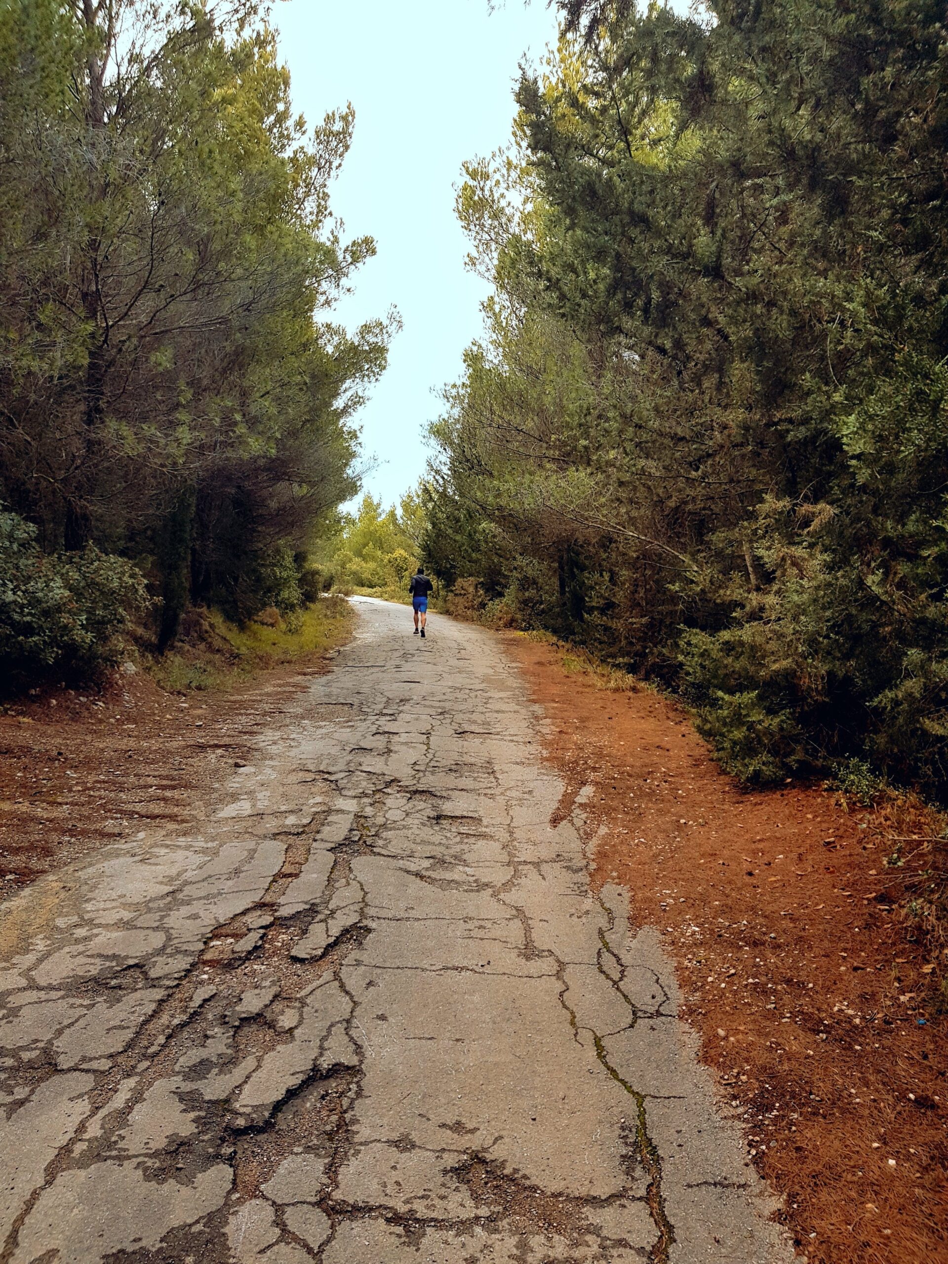 From Gardening to Hiking: Unconventional Cardio Workouts