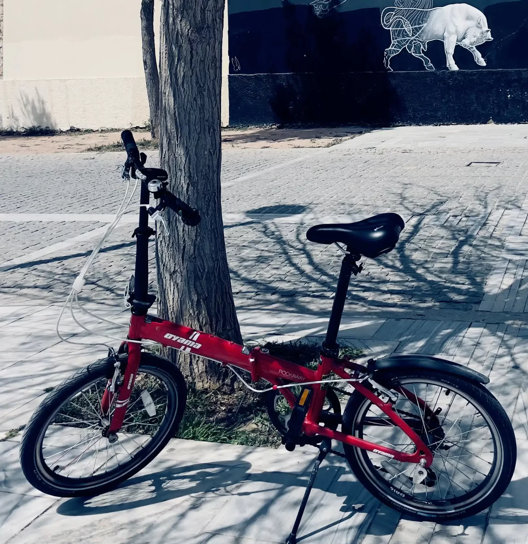 The Truth Behind Common Cycling Misconceptions
