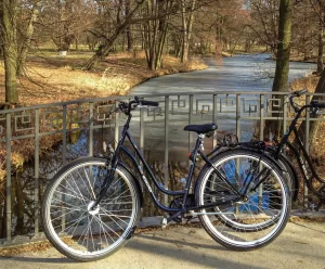 Buying Your First Bicycle: 8 Factors to Consider - buying your first bicycle