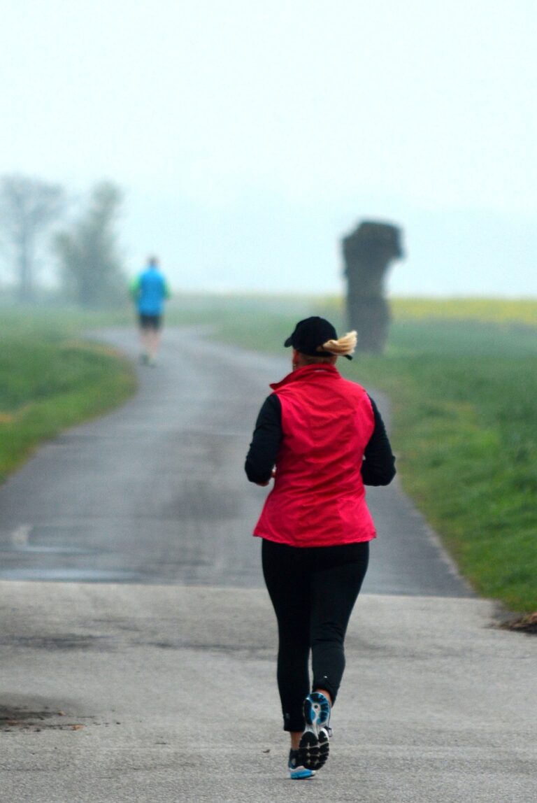 Beginner's Guide to a Half Marathon - half marathon training