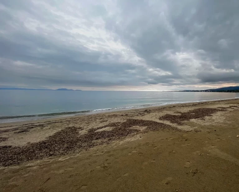 Cold Water Swimming: A Beginner's Guide to Cold Exposure - cold water benefits